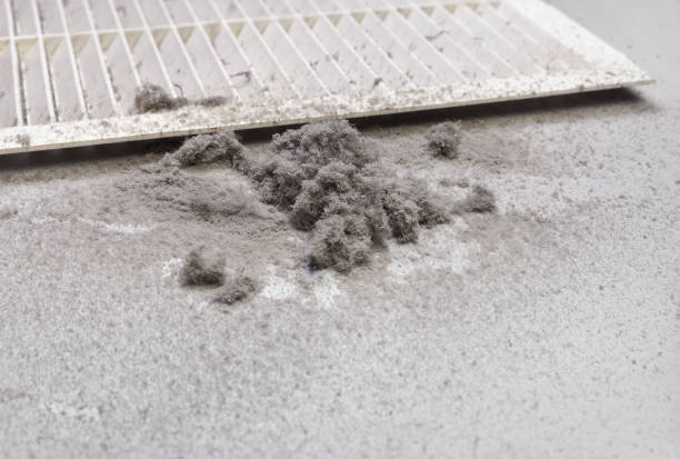 Best Air Vent Cleaning Services  in Lithopolis, OH